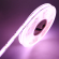 PRIME RGB+CCT COB LED Strip 24V, 18W/m, IP20, Ra90 - 2,5 Meter