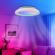 LED Loftlampe & Ventilator Ø450 (Lys i RGB+CCT) - Hvid